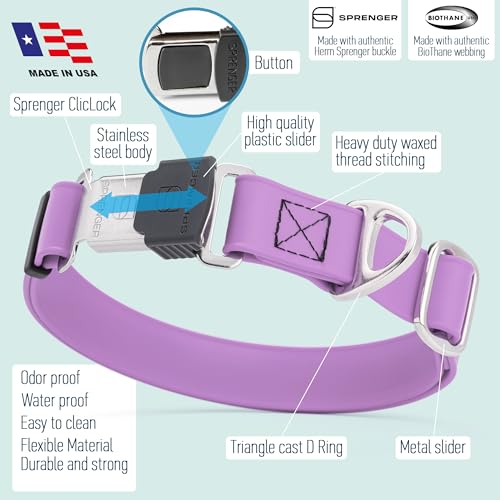 Biothane Waterproof Dog Collar with Herm Sprenger Black Stainless Steel Quick Release Buckle (W 1" x L 15"-25" / Amethyst Purple)