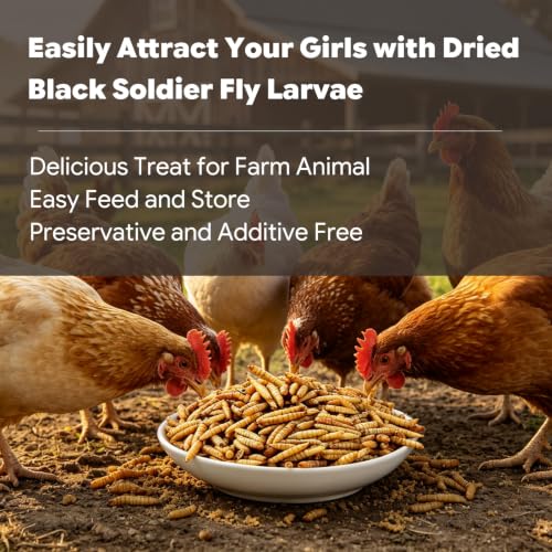5lb Dried Black Soldier Fly Larvae for Chickens Hens High Protein Duck Food (5 Pound (Pack of 1))