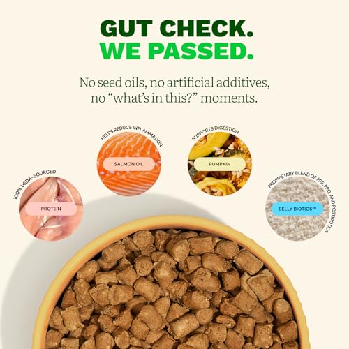 Freeze Dried Raw Chicken Dog Food (1 Pound (Pack of 1))