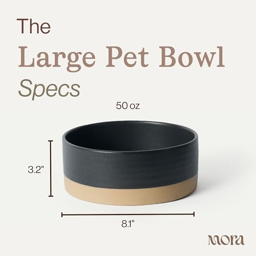Ceramic Pet Bowl Size Large (Large / Liquorice)