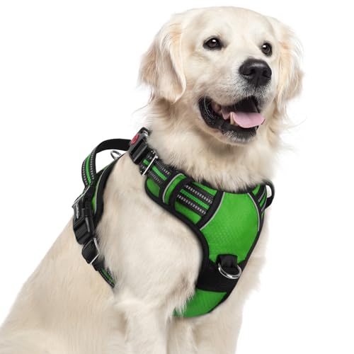 Dog Harness for Large (Green / X-Large)