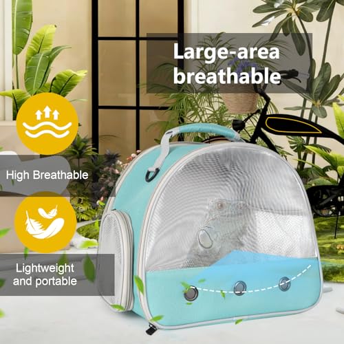 Guinea Pig Carrier (Green)