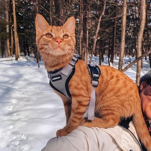 Cat Harness and Leash Set (Xs / Grey)