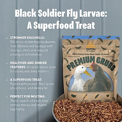 Premium Grubs (1 Pound (Pack of 1))