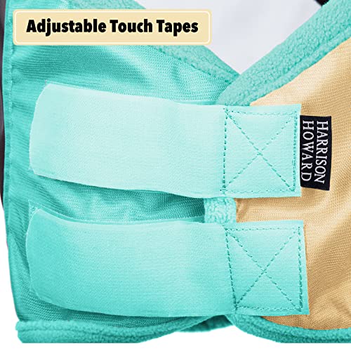 Pro Luminous Horse Fly Mask Standard with Ears UV Protection for Horse Champagne Gold (Champagne Gold/Mint / Medium (Arabian))