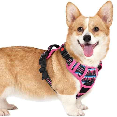 Dog Harness Small Sized (Mountain Rose / Small)