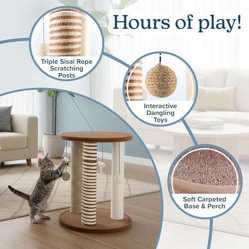 Cat Scratching Post (Brown)