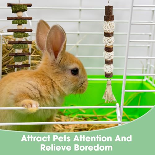 3 PCS Bunny Chew Toys
