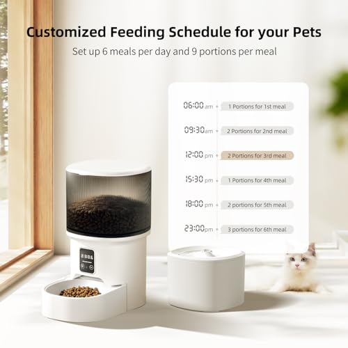 Automatic Cat Feeder & Water Dispenser (Automatic Cat Feeder and Water)