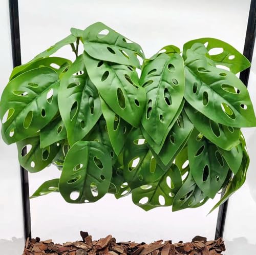 Fake Reptile Plants for Terrarium (Swiss Cheese)