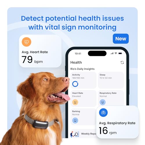 Smart Dog GPS Tracker (Mint / Without Subscription)