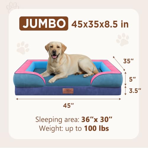 Orthopedic Dog Bed for Extra Large Dogs with Bolster (45.0"L x 35.0"W x 8.5"Th / Enchanted Cove)