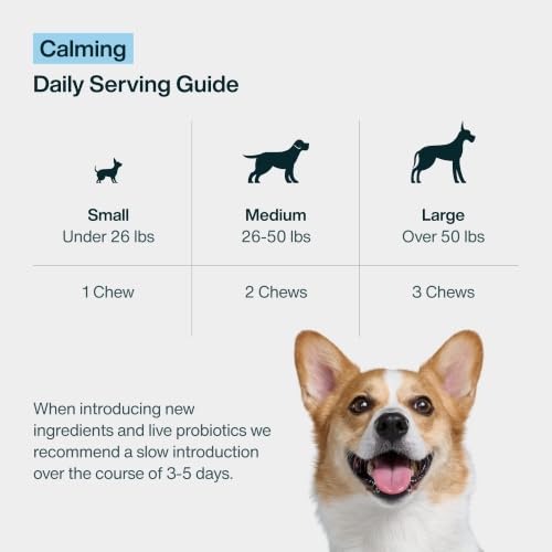 Calming Supplement for Dogs (Calming)