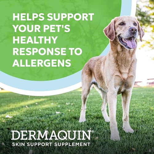 Nutramax Dermaquin Dog Supplement (60ct – 31 lbs & up Pack of 1)