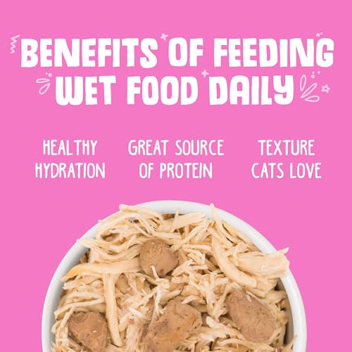Classic Cat Food (3 Ounce (Pack of 24))