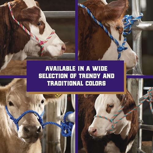 Braided Poly Rope Cattle Halter