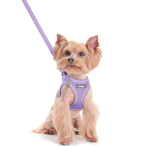 Dog Harness Small Sized and Leash Set (Light Purple / Xxs (chest: 12.4 - 14.2"))