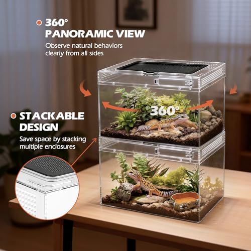 Reptile Tank Starter Kit (Large(15.6*10*8IN))