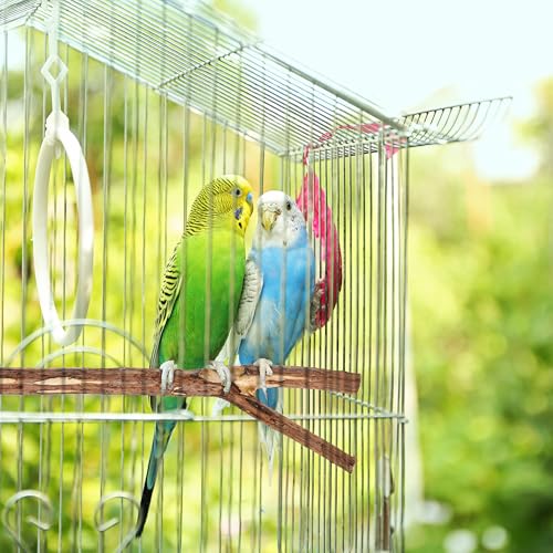Natural Wooden Perches for Bird Cages (No-Bark / 2 Pack)