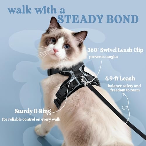 Cat Harness and Leash Set (Xxs / Doodle Gray)