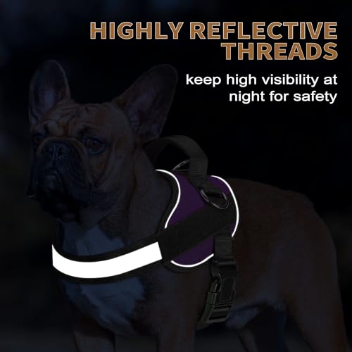 Essential Dog Harness (S / Purple)