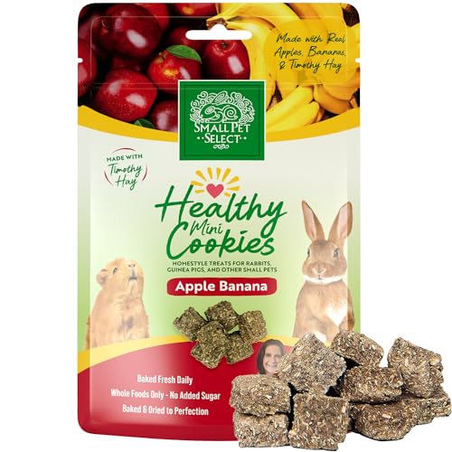 Healthy Snacker (2 Ounce (Pack of 1))