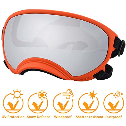 Dog Sunglasses