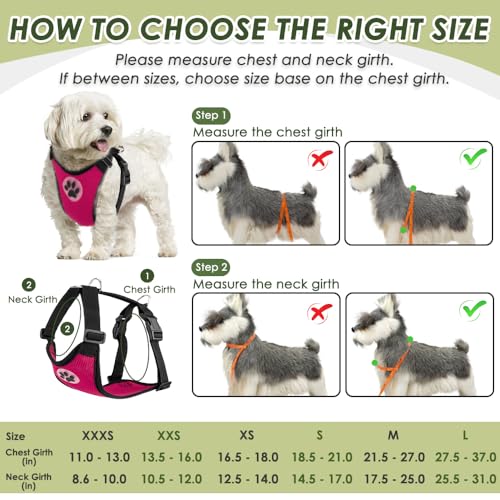 Dog Seat Belt and Harness for Car (Fuchsia / Large)