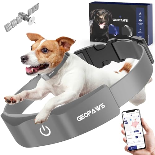 GPS Wireless Dog Fence (Grey)