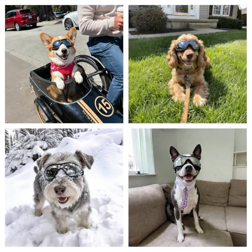 Dog Goggles for Medium Breed Pet Sunglasses Eye Protection Anti (Silver / Medium)
