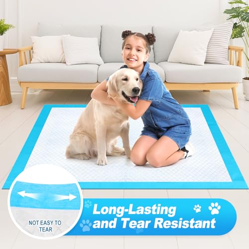 Pee Pads for Dogs & Cats 40"x40" 40 Count (40"x40")