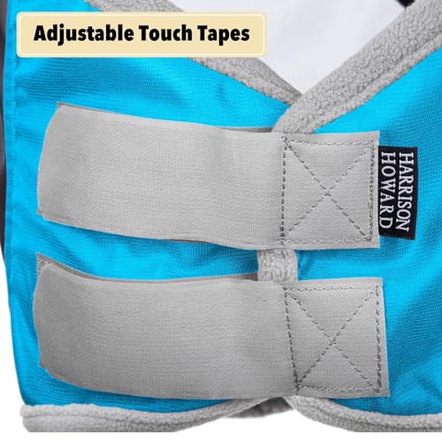 Pro Luminous Horse Fly Mask Standard with Ears UV Protection for Horse Azure Blue (Azure Blue/Silver / Small (Yearling))