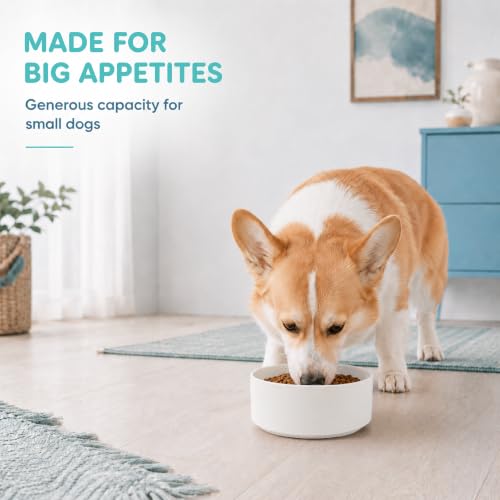 Ceramic Dog Bowls (Matte White)