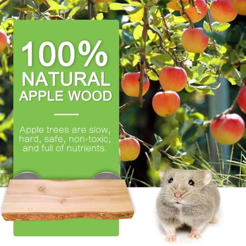2Pcs Hamster Ledges Wooden Platform 2.6 x 6 Inch Rat Climb Platform Shelf Bird Perch Stand Toys Cage Accessories for Rat Gerbil Suger Glider (6 × 2.6 inch)