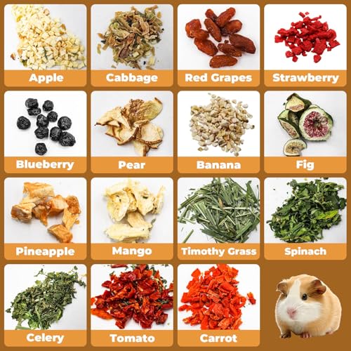 Bunny Treats Treat Box with 15 Kind of Snacks for Rabbit (A / 1 Pack)