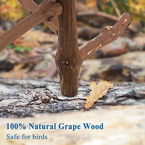 Natural Bird Perch Stand for Cage