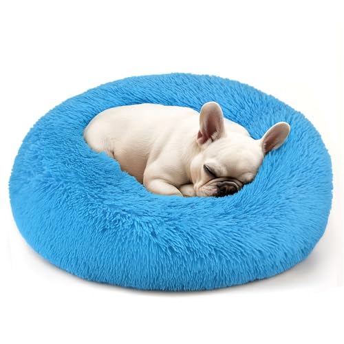 Dogs Bed for Small Dogs (Light Blue / 24.0"L x 24.0"W x 8.0"Th)