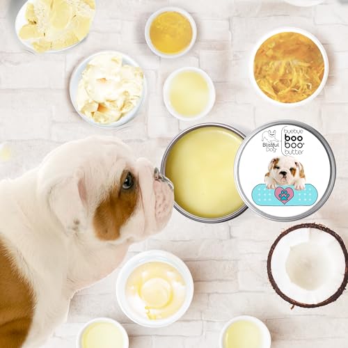 BB-BULLDOG-16OZ Bulldog Boo Butter, 16 oz (16 Ounce / Bulldog)
