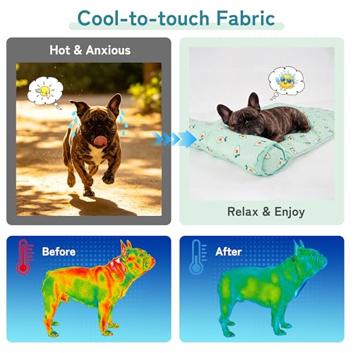 Cooling Dog Bed (Large / Green)