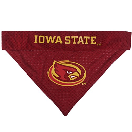 Collegiate Pet Accessories (Small/Medium / Iowa State Cyclones)