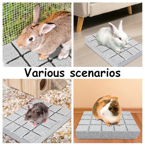 2PCS Rabbit Scratching Pads Bunny Lava Grinding Claw Pads Small Animal Foot Pads Hamster Scratch Board Chew Toys for Gerbil Chinchilla Hedgehog Guinea Pig Cage Accessories