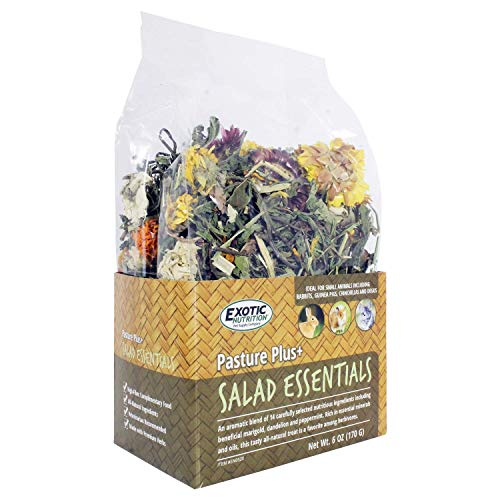 Pasture Plus+ Salad Essentials