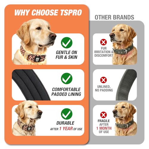 Heavy Duty Thick Dog Collar with Metal Buckle for Medium Dogs (M – Fits Neck 15.8"-18.9" / Classic Zebra Print)