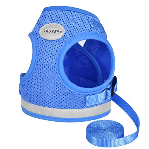 Cat Harness and Leash Set (XS (Chest: 6" - 8") / SkyBlue)