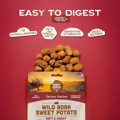 Healthy Soft Dog Treats (5 Ounce (Pack of 3))