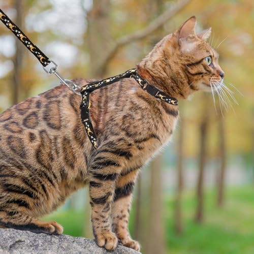 Adjustable Cat Harness and Leash Set Escape Proof Kitten Strap Collar for Walking Travel (Medium / Black(Moon&Star))