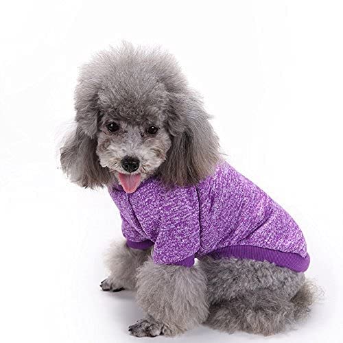 Dog Sweaters for Small Dogs (Purple / Large)
