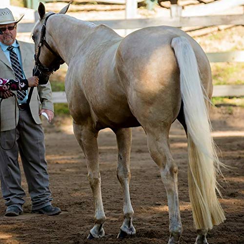 Horse Tail Extensions with Braided Horsehair Loop (1 LB (34"-36") / Palomino)