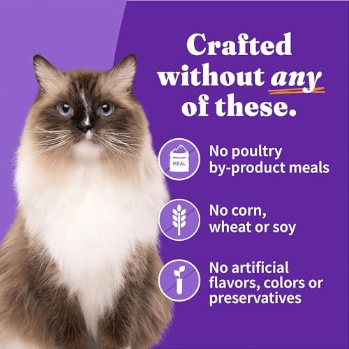 Pate Wet Cat Food