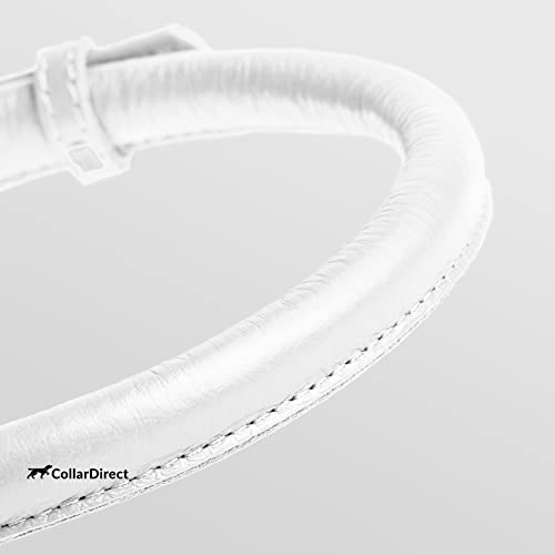 Tangle Free Rolled Leather Dog Collar (White / XXS)